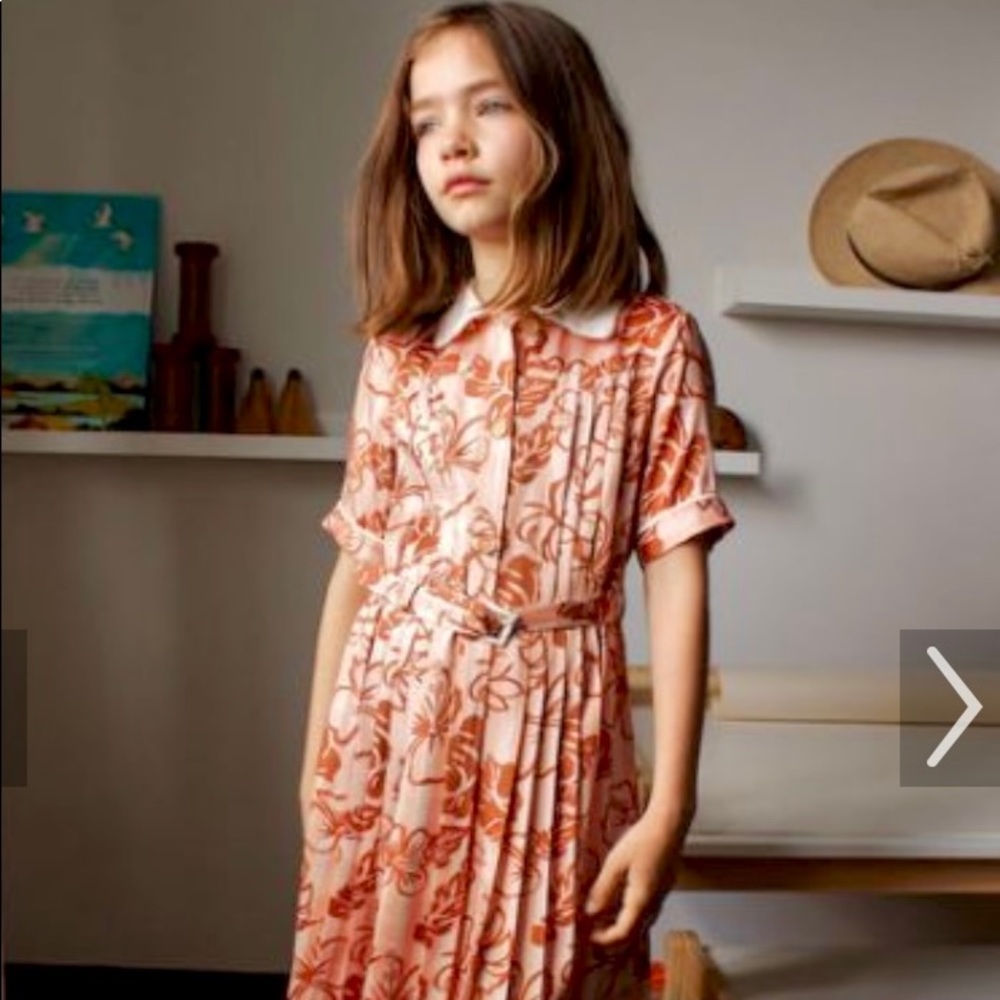Zara limited edition shirt dress with contrasting collar sz 10Y